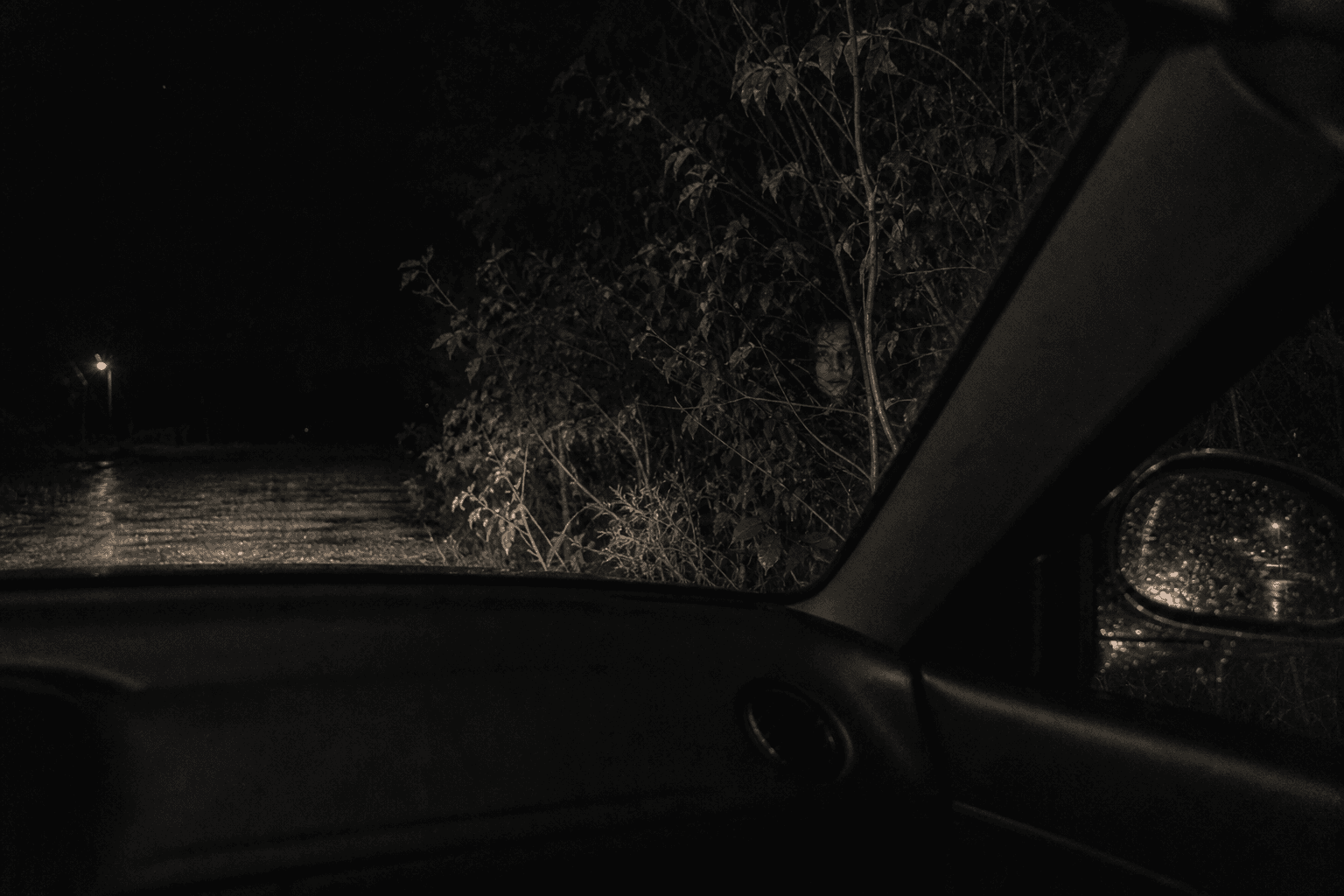 A pale face hidden in bushes outside a car at night.