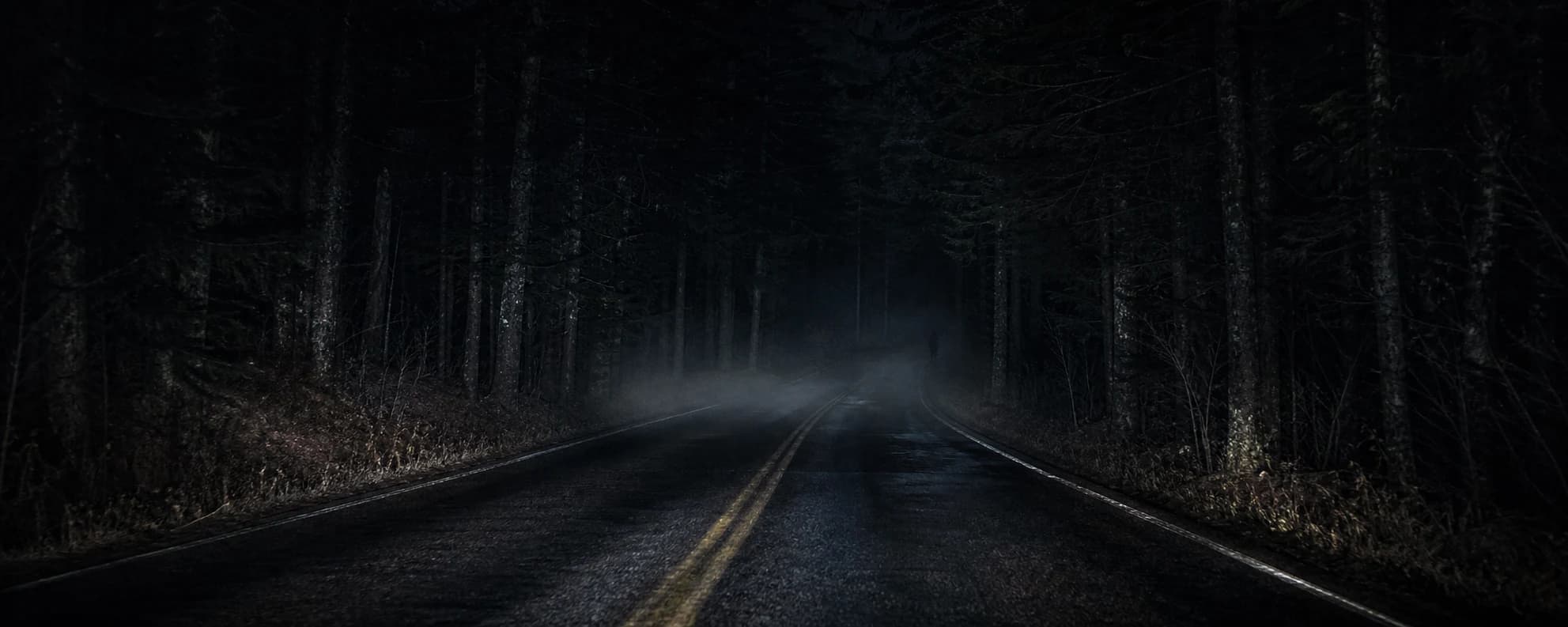 Dark road outside Asheville at night, lit by headlights