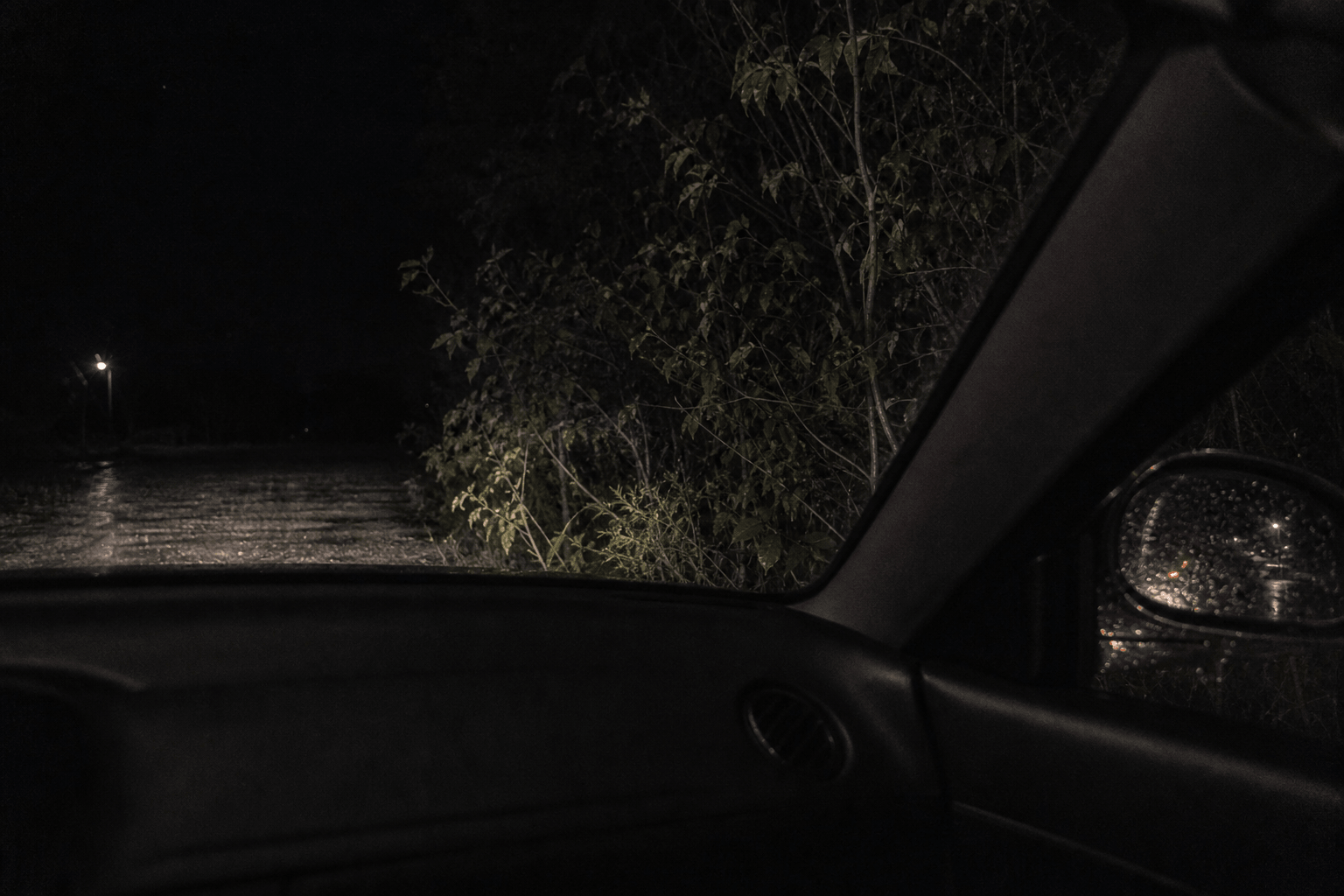 Headlights on the bushes at the edge of a dark road, seen from inside the car