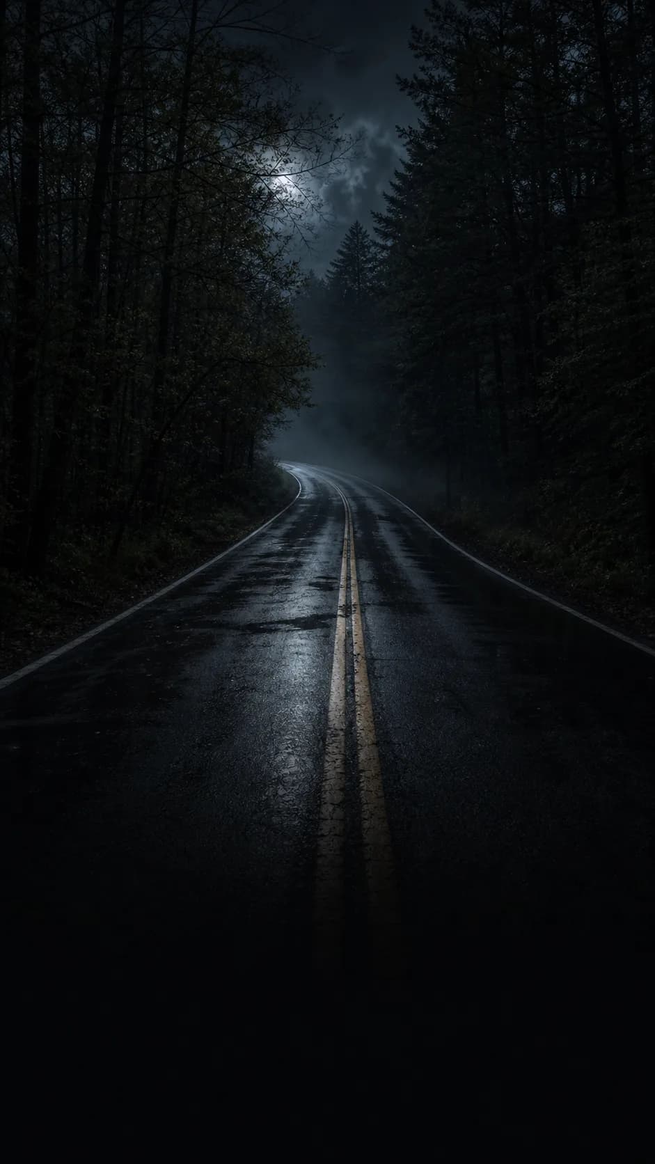 An empty wet road disappearing into a dark forest at night