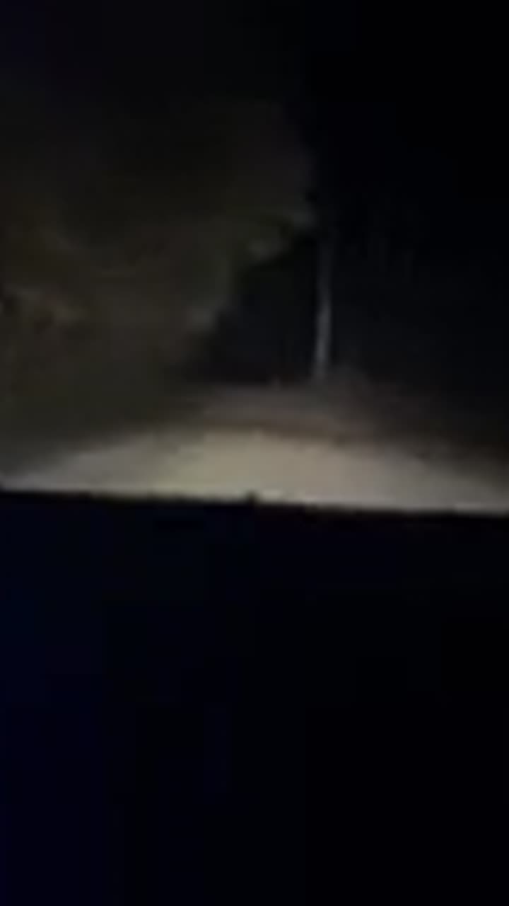 Passenger reaction video from a Dark Drives Winnipeg night tour, road report 1